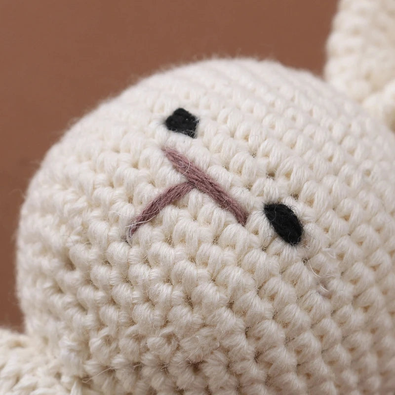 Adorable Crochet 4 Piece Baby Rabbit Newborn Gift Set